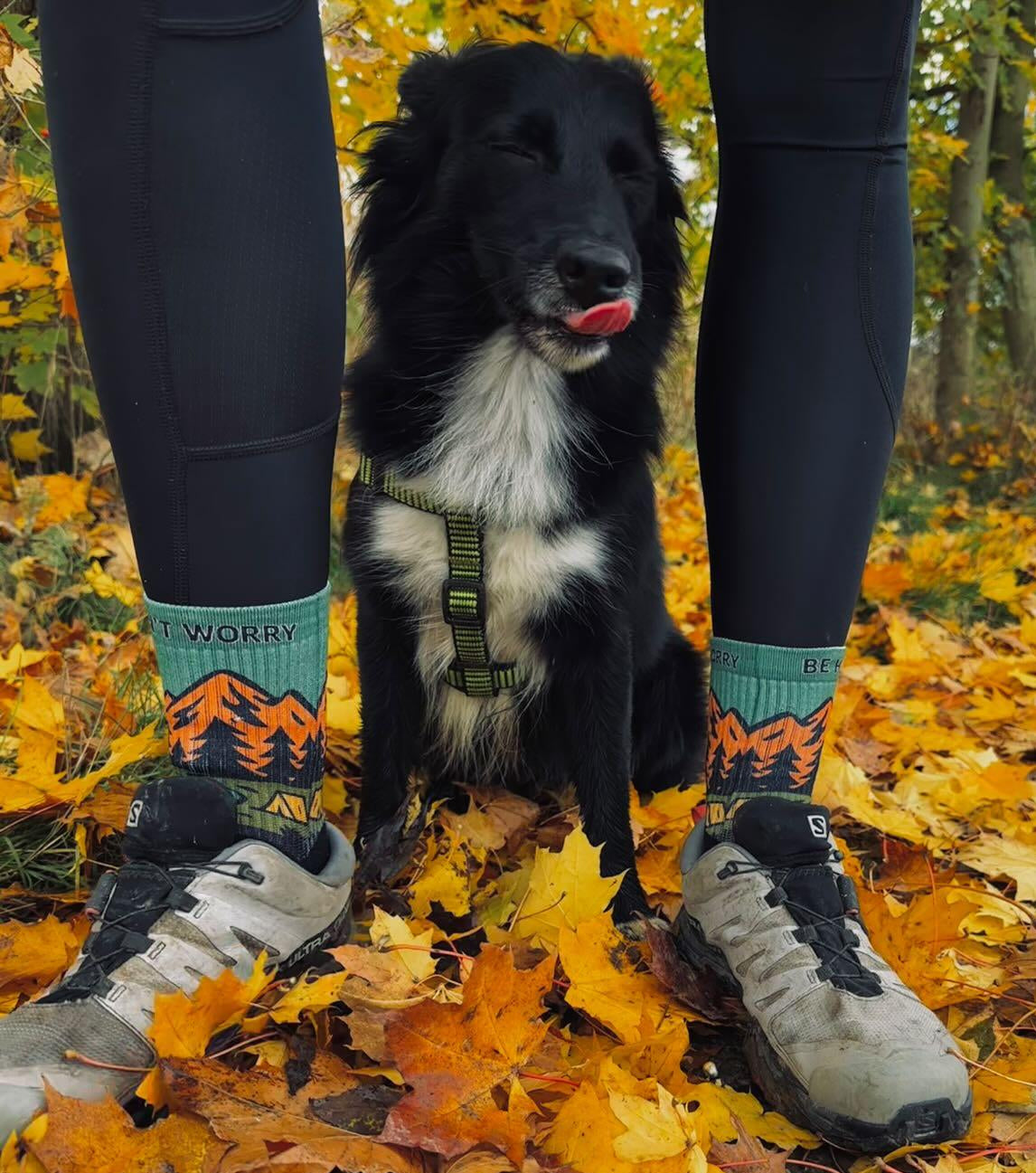 Ponožky Don't worry be hory