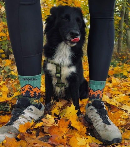 Ponožky Don't worry be hory